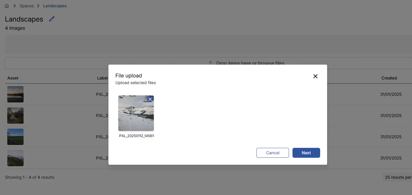 Fig. 2.1c: Selected images displayed before upload