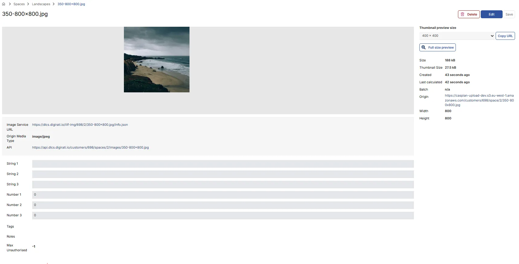 Fig. 2.3a: Asset details view