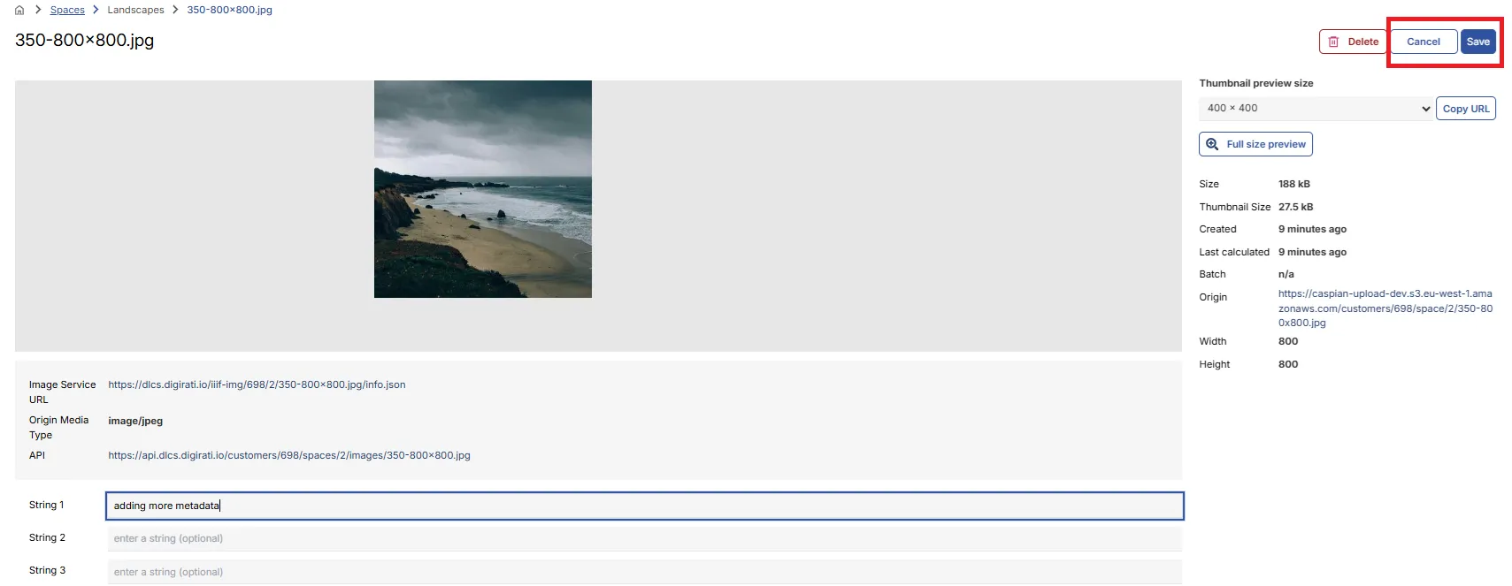 Fig. 2.3e: Editing metadata — save or cancel options