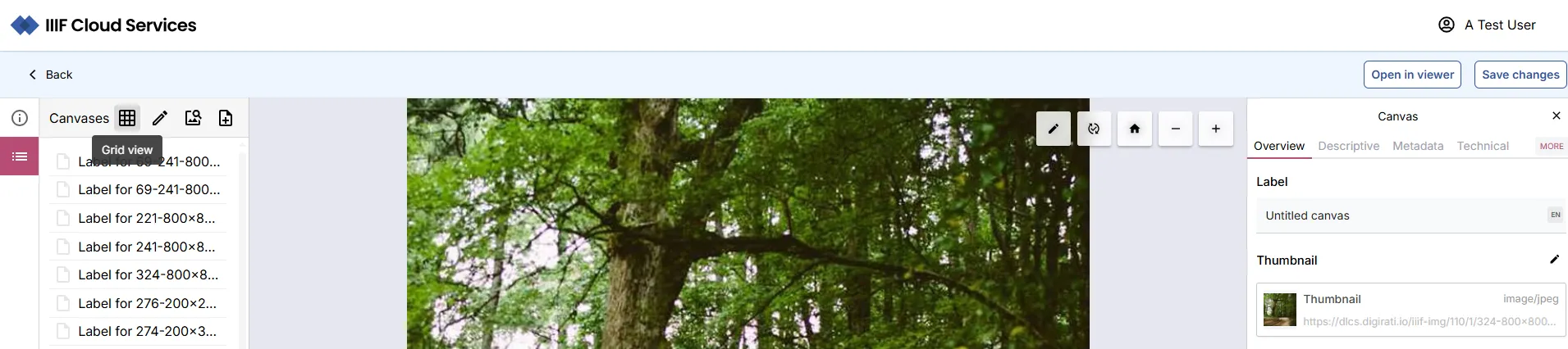 Fig. 3.2.5a: Switch to Canvas listing Grid view
