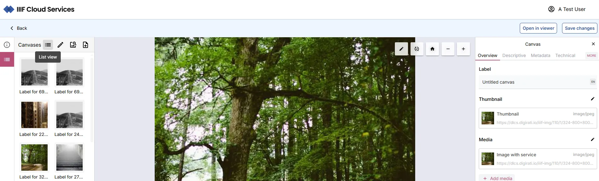Fig. 3.2.5b: Switch back to Canvas listing List view
