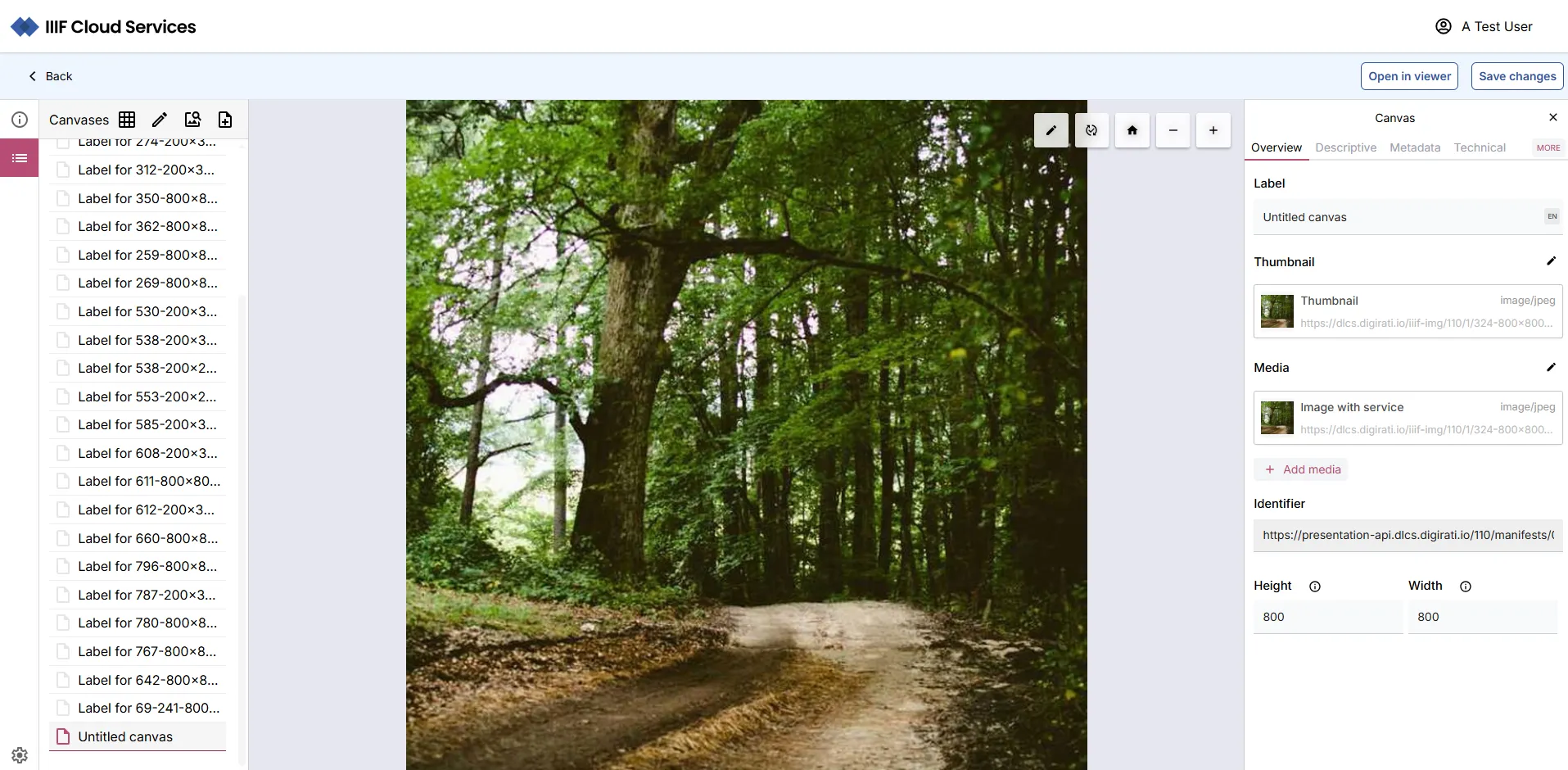 Fig. 3.2.6e: Asset added to Manifest as 'Untitled canvas'