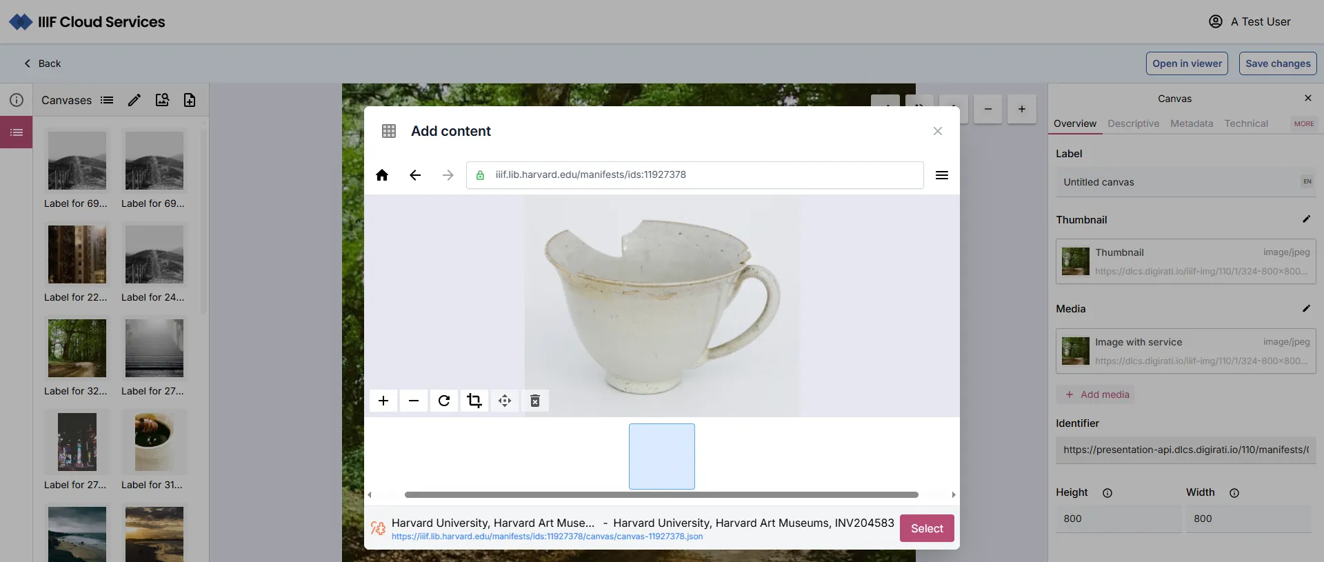 Fig. 3.2.6j: Viewing a Canvas in an external Manifest, with option to 'Select'